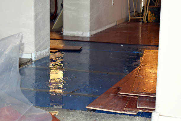 Professional Burst Pipe Cleanup technician working in South Rockwood, MI
