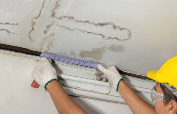 Reliable Burst Pipe Cleanup contractor in South Rockwood, MI by Water Damage Irwin